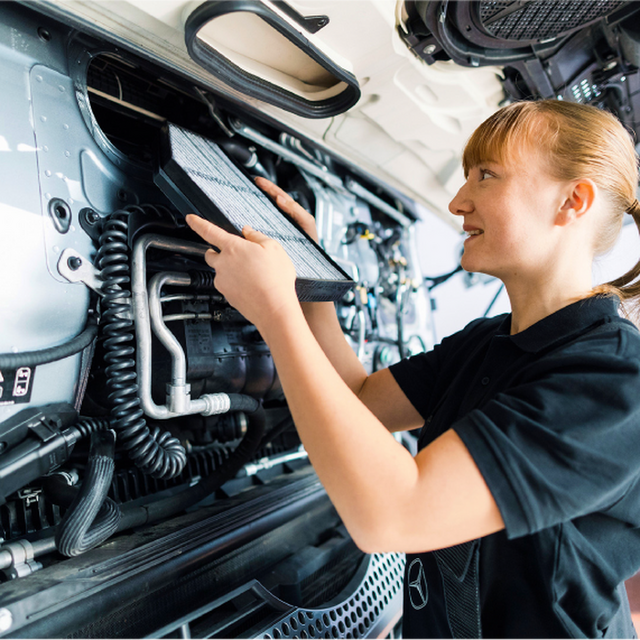 Remit Training - Daimler
