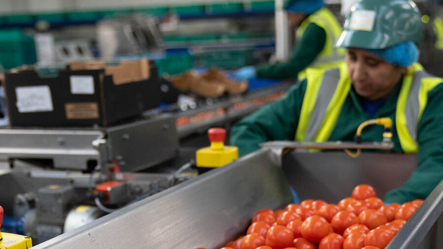 Remit Training - Level 2 Food & Drink Process Operator
